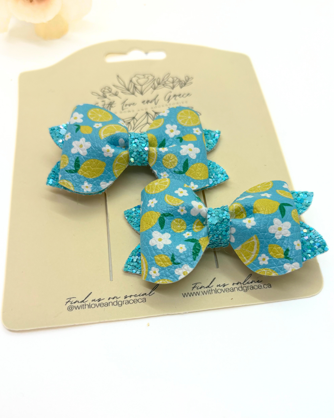 Fruit Collection Pinch Piggy Bows